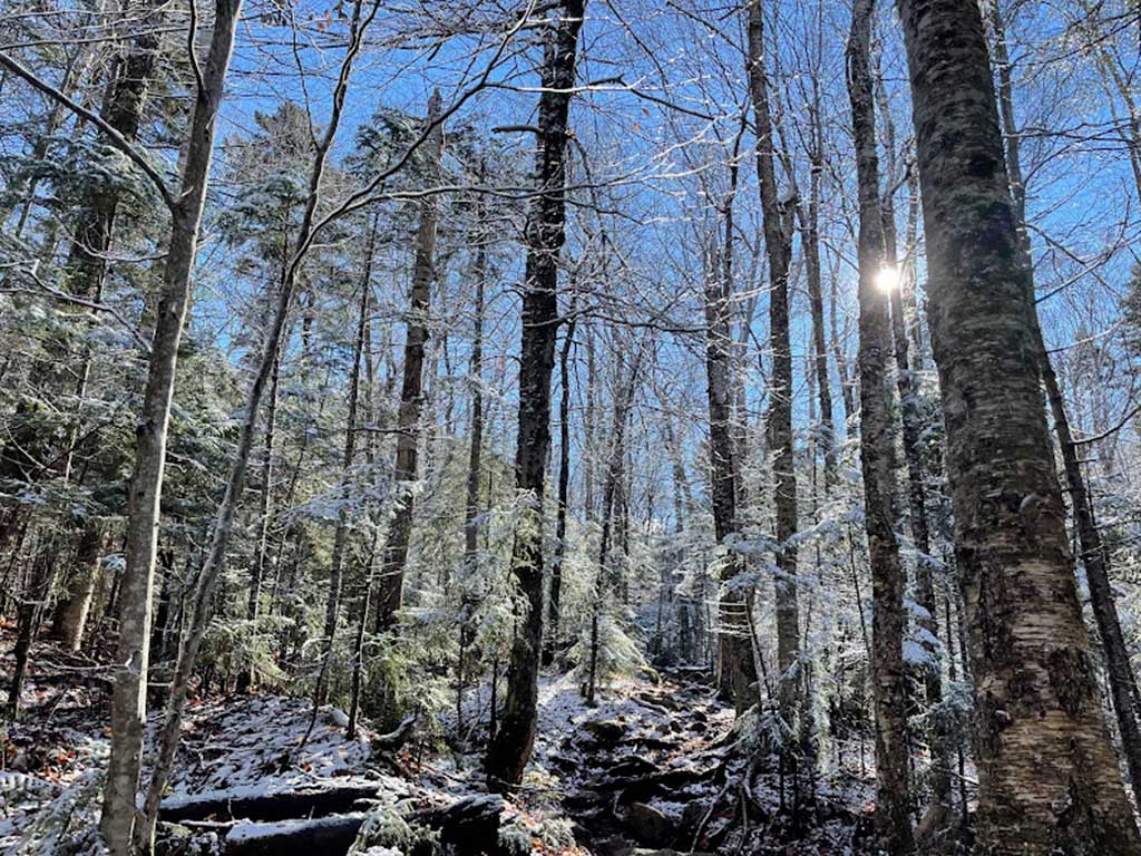 West End News - Brighter winter on trail in Greeley, NH