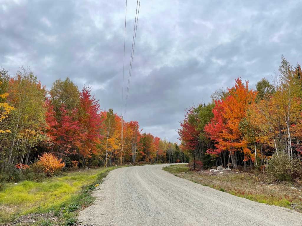 White Tail Road in autumn