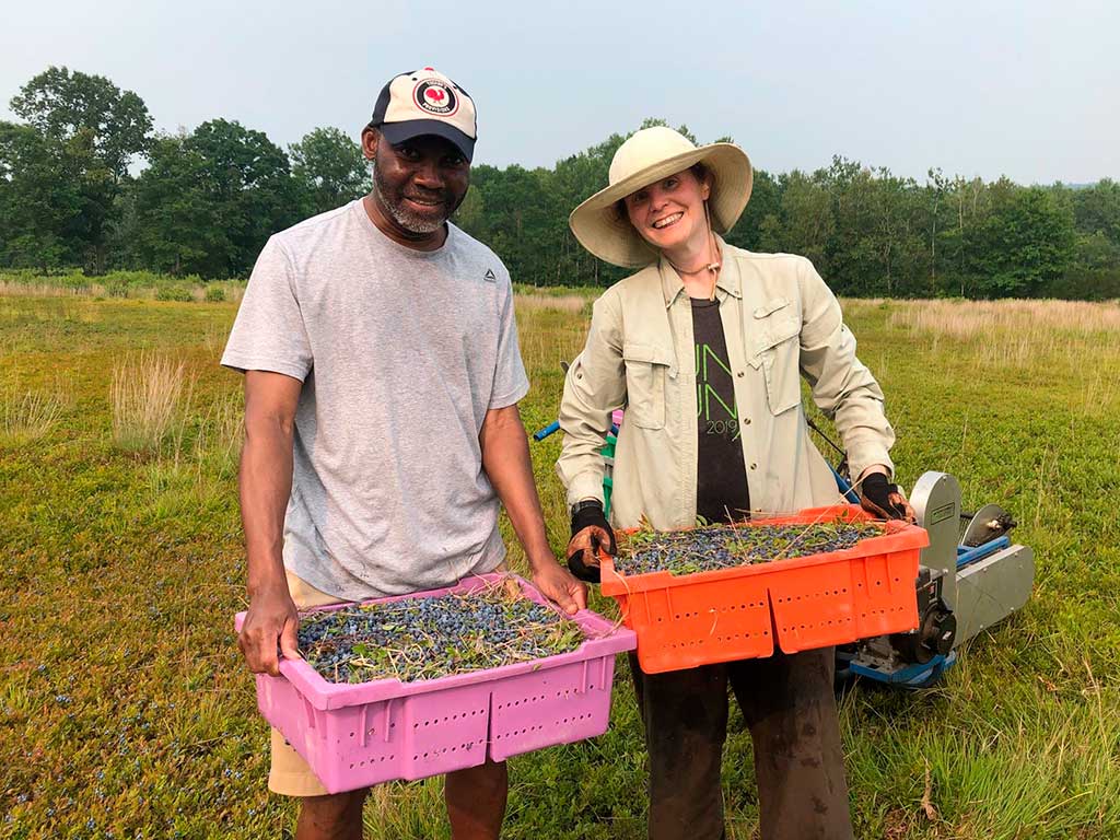 West End News - Susana Hancock and friend during wild blueberry harvest