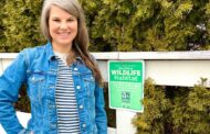 Avery Yale Kamila: Protecting Portland from Pesticides