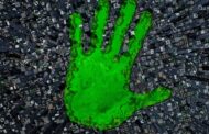 Bright Idea: Get to Know Your Climate Handprint