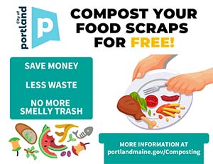 Compost your food scraps