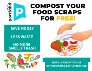 Sustainable goals #1 - Compost your food scraps