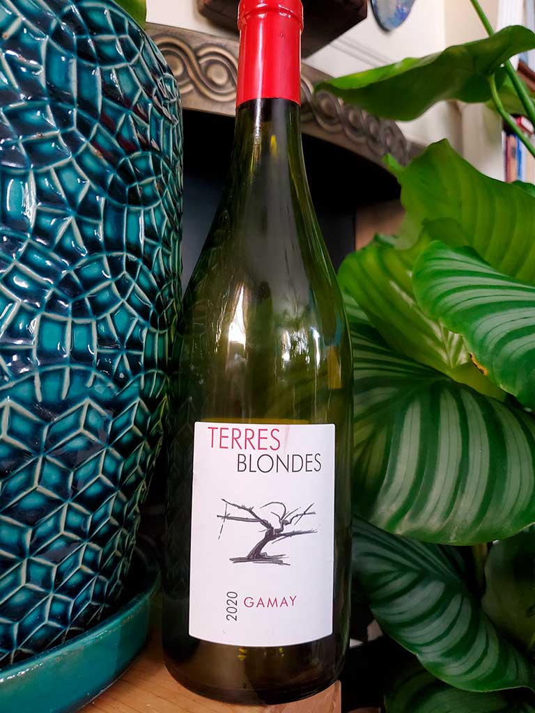 Bottle of Terres Blondes Gamay with potted plant