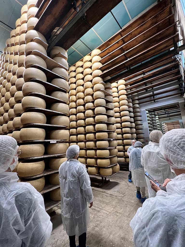 Small group tour of Parmigiano/Reggiano Cheese Cooperative