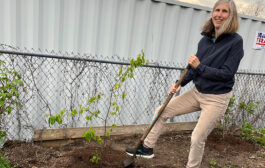 Susan LoGiudice: Free Trees for Residents to ReForest the City