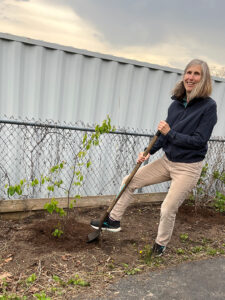 Susan LoGiudice planting a service berry tree, which is one of the trees being planted by Reforest the City