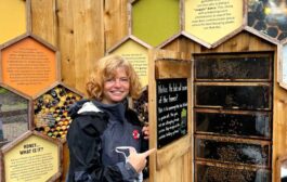 Dare to Go Wild with Native Plants