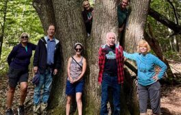 Pinch me, I live here! These trails are local gems.