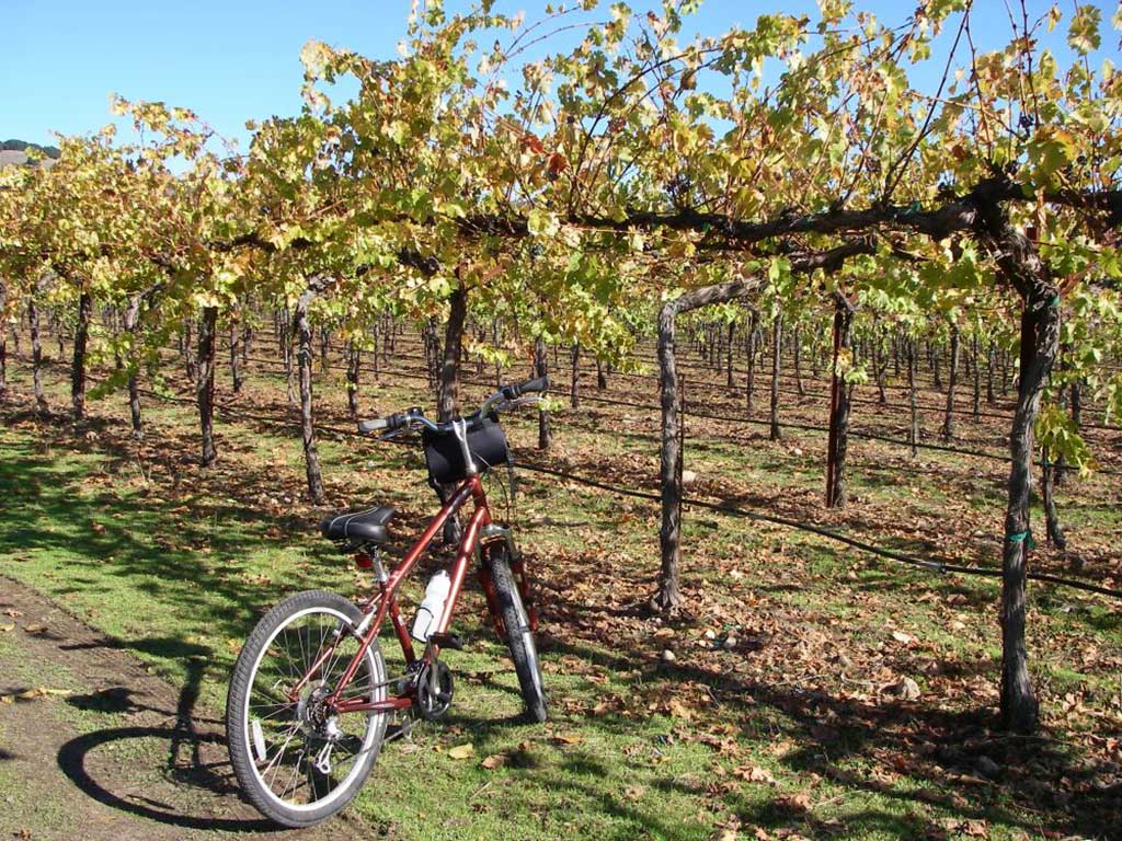 Creative Use of Time Even with Limited Means