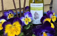 Spring Fever Wines for Portland