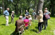 Tree Dedicated to Theo Holtwijk in Deering Oaks Park