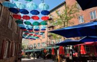 Quebec City - Layne's Wine Gig Takes the Grand Tour