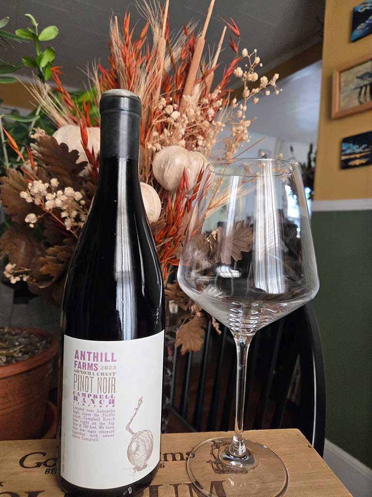 Pinot Anthill and glass
